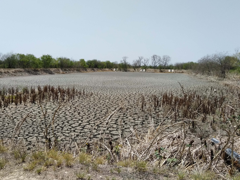 Por sequía peligra la siembra del ciclo otoño-invierno en Acuña