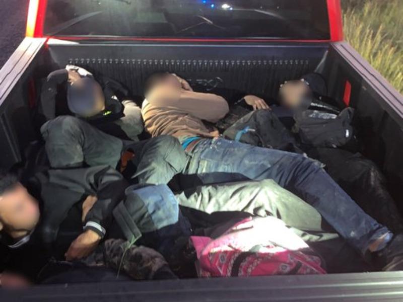 Detuvieron a 14 contrabandistas y 48 indocumentados en varios operativos 