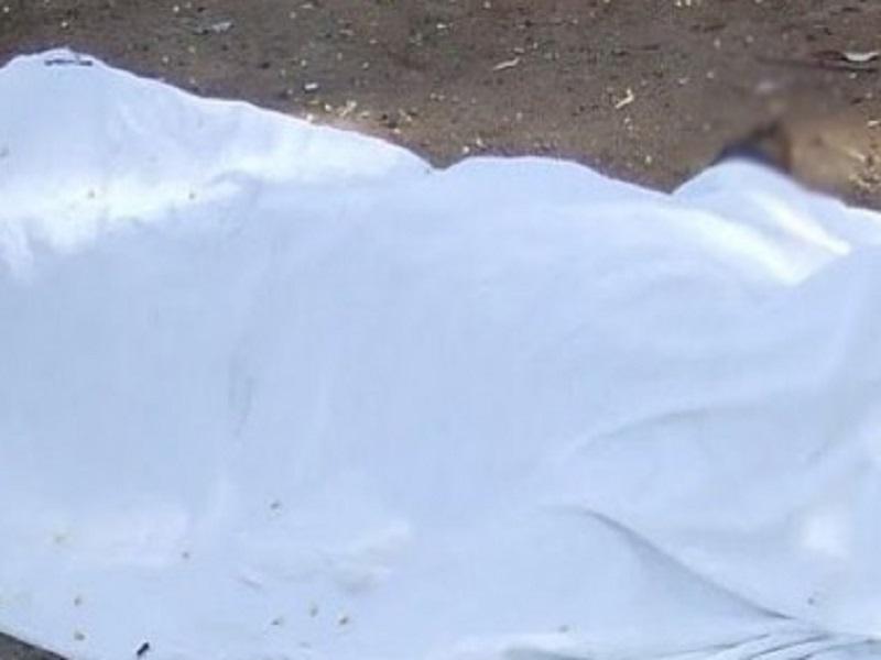 Muere ni&ntilde;o baleado en su casa en Torre&oacute;n