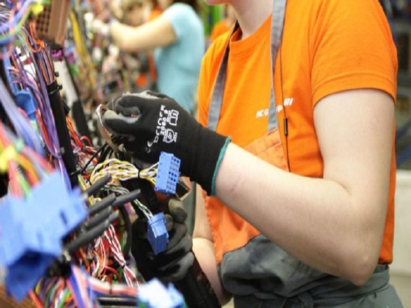 Liquida PKC Group a 117 trabajadores por p&eacute;rdida de contratos de clientes