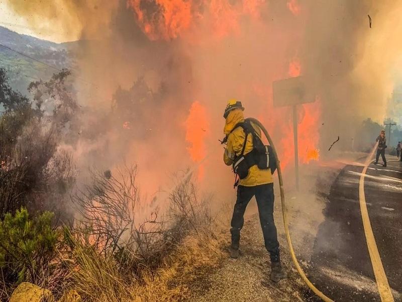 Se eleva a 10 la cifra de muertos por incendios forestales en California