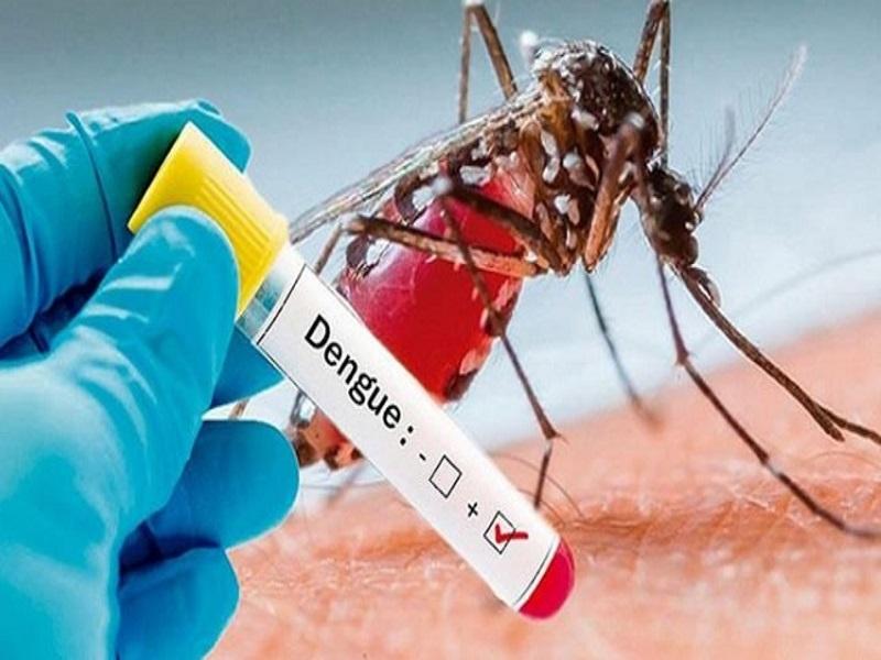 Hay 30 casos confirmados de dengue en Coahuila, ninguno en Piedras Negras