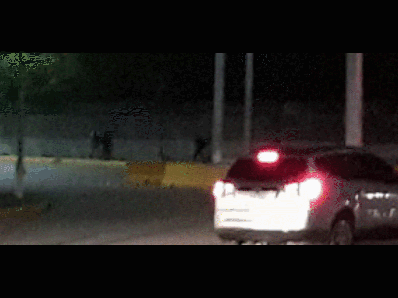 Solo un migrante deportado fue recibido por el INM durante el fin de semana, 36 no fueron revisados