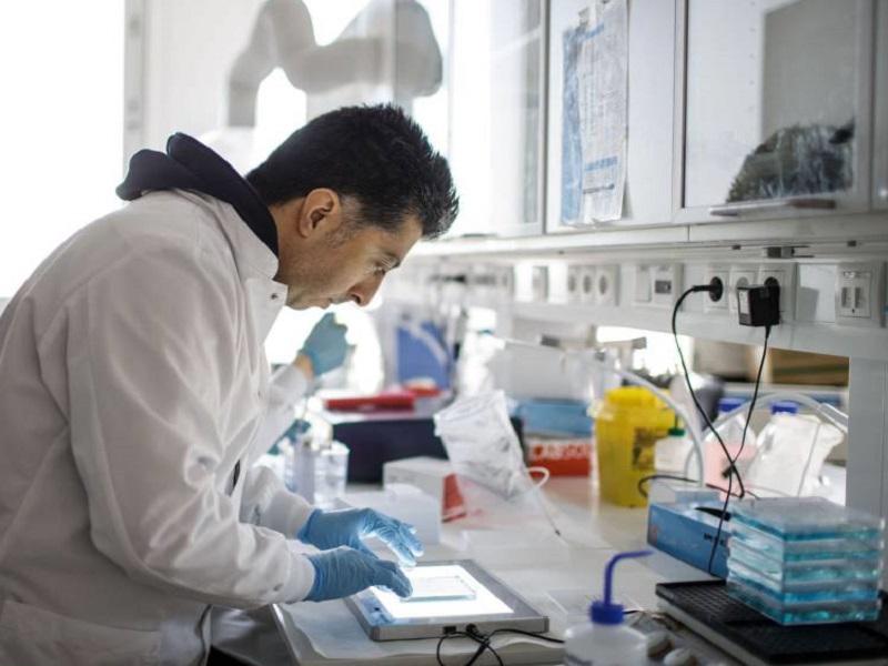 Mexicanos crean tratamiento que curar&iacute;a el COVID en 48 horas, con anticuerpos de caballos