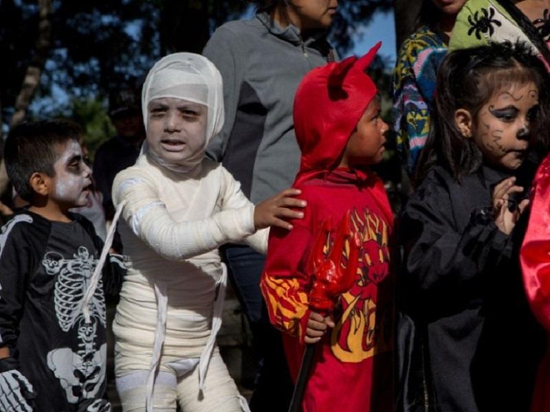 Subcomit&eacute; de Salud de la regi&oacute;n norte proh&iacute;be la celebraci&oacute;n del Halloween 