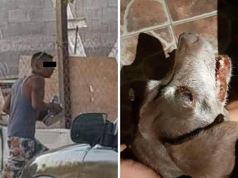Denuncian p&uacute;blicamente a joven que mat&oacute; un perro a tubazos en Piedras Negras