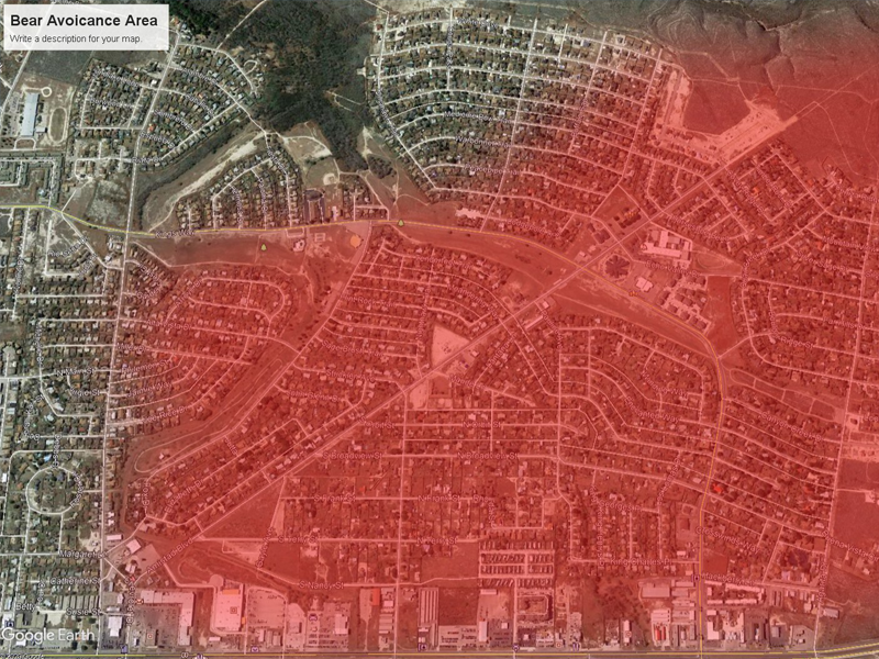 Reportan avistamiento de mam&aacute; osa y osezno ahora en Del R&iacute;o, Texas