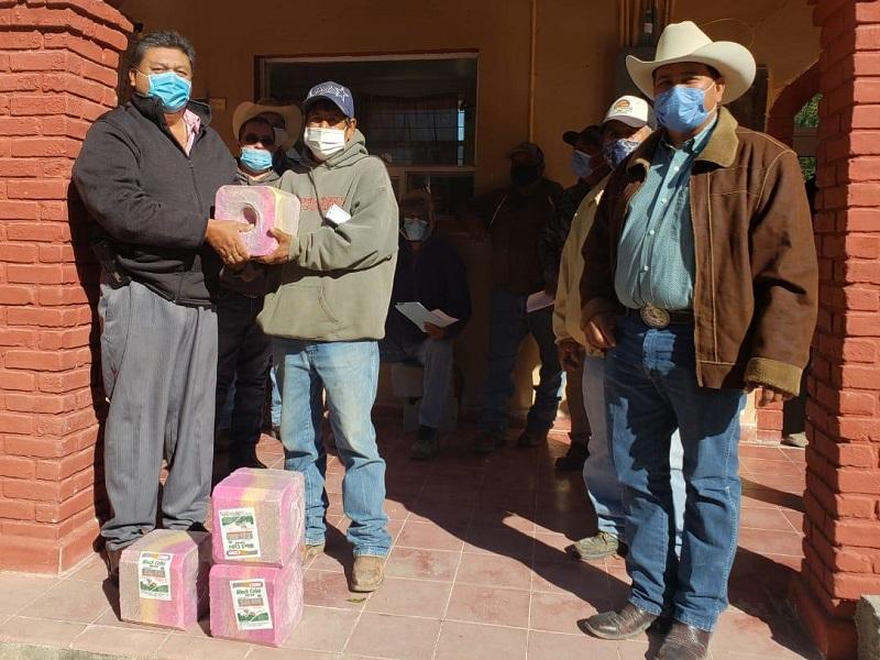 Apoya alcalde de Jiménez a ejidatarios con venta a bajo precio de bloques de sal mineral para el ganado