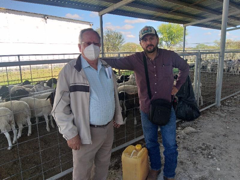 Se reactiva venta de ganado de los Cinco Manantiales al centro del país