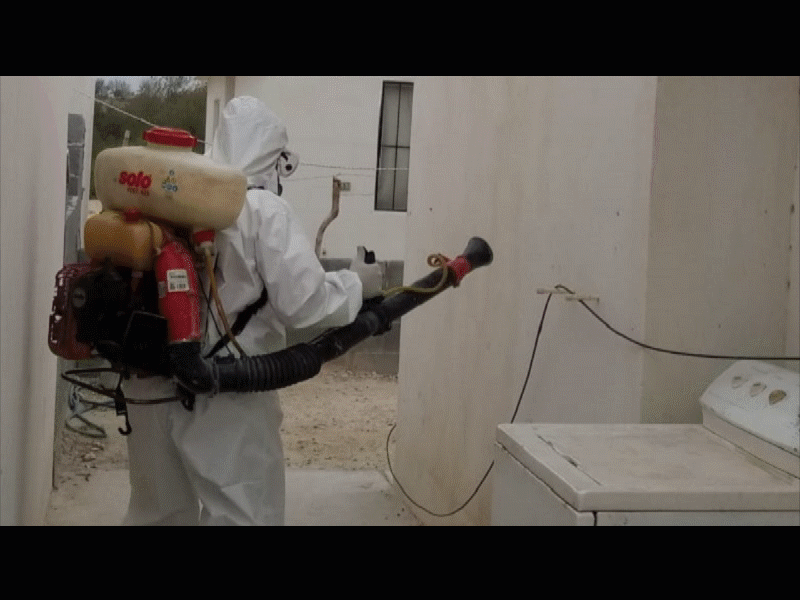 Agresores de fumigadores no saben el da&ntilde;o que hacen, es grave el problema de dengue en Villas del Carmen y A&ntilde;o Dos Mil