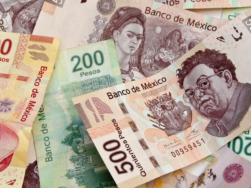 Presupuesto de Egresos 2021 castiga a programas con efecto multiplicador en la econom&iacute;a