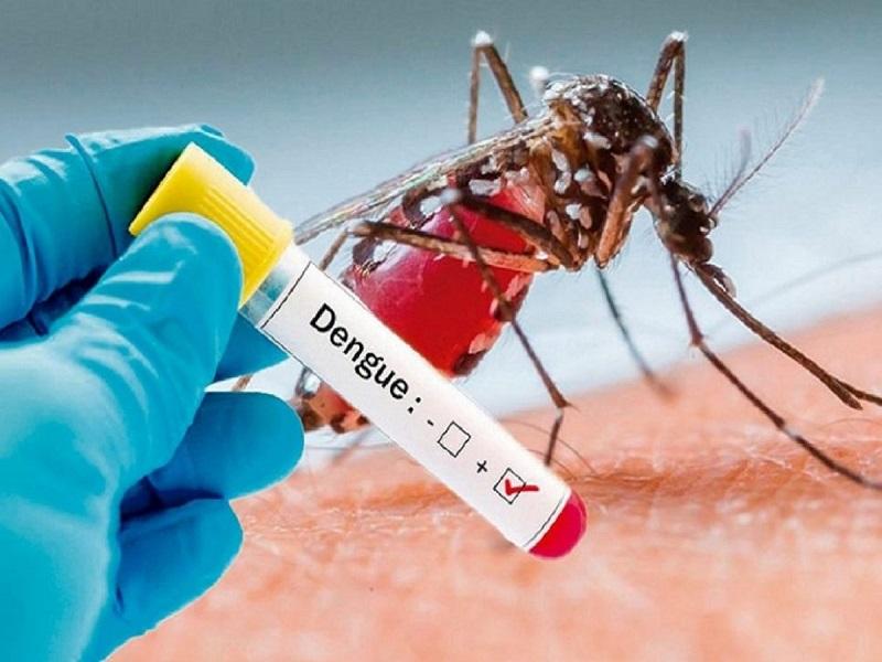 Sube a 40 el n&uacute;mero de casos de Dengue en Piedras Negras, uno grave (video)