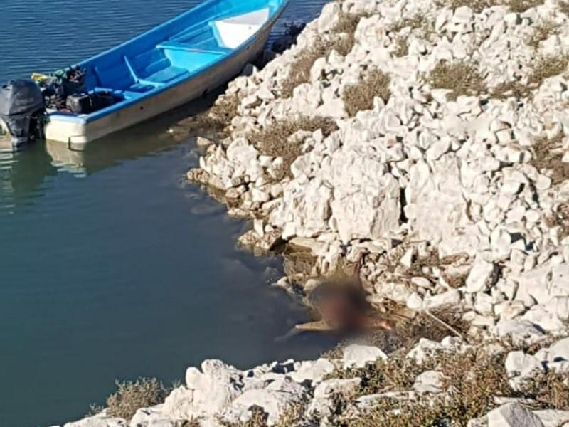 Recuperan cuerpo de mujer en avanzado estado de putrefacción en la presa de La Amistad en Acuña