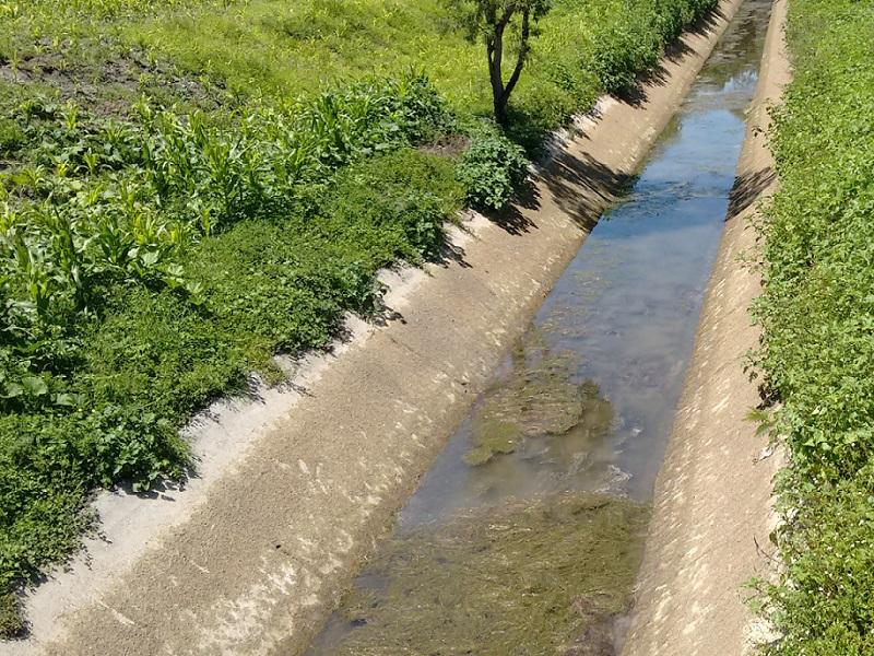 Sequía ha dejado pérdidas importantes en Jiménez, afirma el alcalde Raúl Pecina