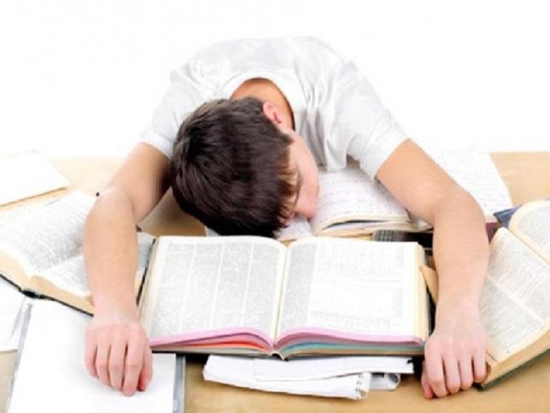 Dejen los libros y disfruten en casa, recomienda educaci&oacute;n a los alumnos para el per&iacute;odo vacacional