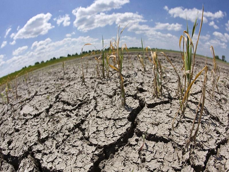 Agoniza el campo del norte de Coahuila por falta de lluvia, no habrá alimento la primera mitad del año