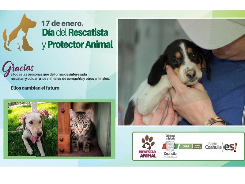 Coahuila conmemora este 17 de enero el d&iacute;a del rescatista y protector animal