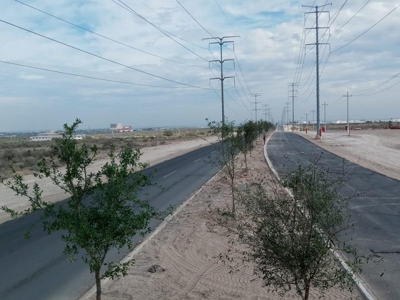 Bulevar Camino a Las Tinajas contará con moderno sistema de riego por goteo para árboles y área verde: Ecología