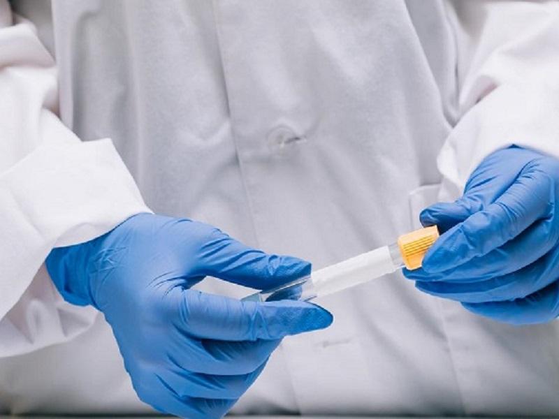 Se cumple un a&ntilde;o de la alerta epidemiol&oacute;gica por COVID-19 emitida por el gobierno de M&eacute;xico