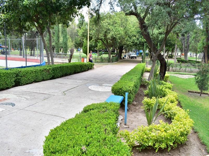 Llama AMLO a empezar a abrir espacios deportivos para resistir la pandemia