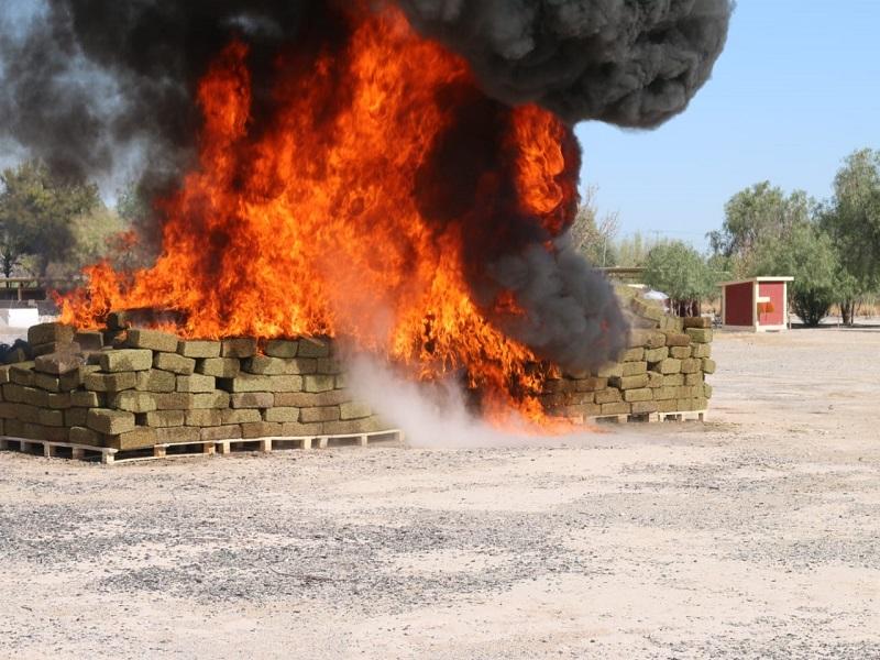 La FGR incinera casi seis toneladas de marihuana en Torreón