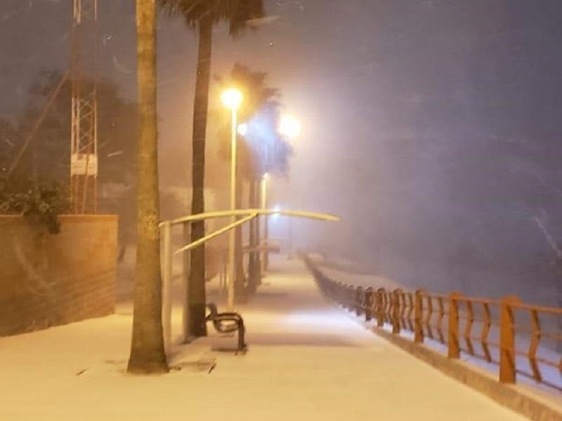 Tormenta invernal paraliza casi la totalidad de las actividades en la regi&oacute;n Norte de Coahuila