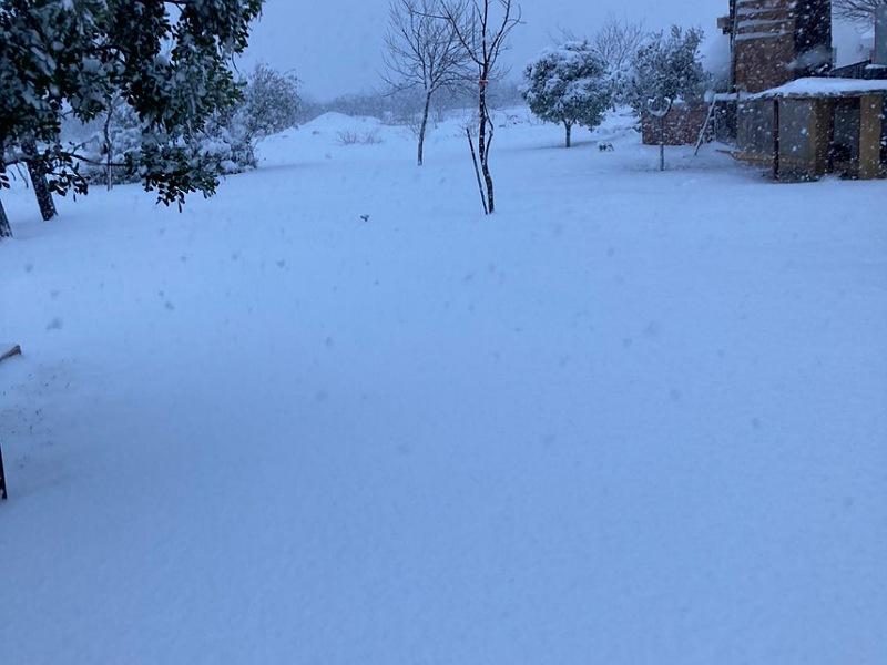 Hasta 8 pulgadas de nieve han ca&iacute;do en la sierra de Acu&ntilde;a (video)