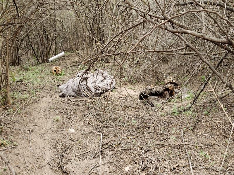 Hallan osamenta humana en terreno baldío a la altura del ejido Centinela, municipio de Piedras Negras (video)