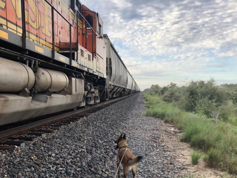 Gracias al aumento de vigilancia, menos indocumentados han sido detenidos ingresando a trav&eacute;s del ferrocarril: Mayor