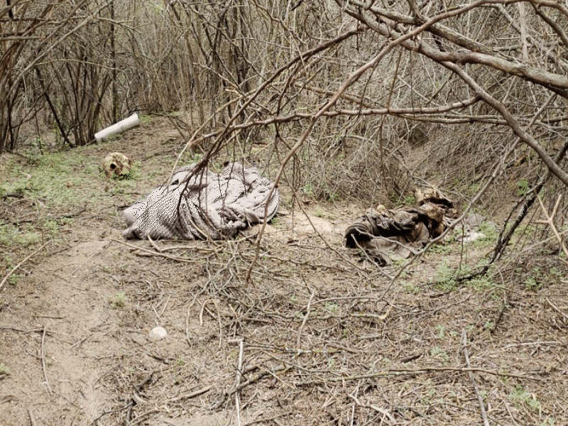 Podr&iacute;a tratarse de un indocumentado osamenta hallada en ejido El Centinela 