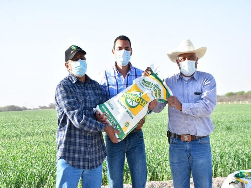 Entregan segunda remesa de semilla de sorgo a agricultores de Nava
