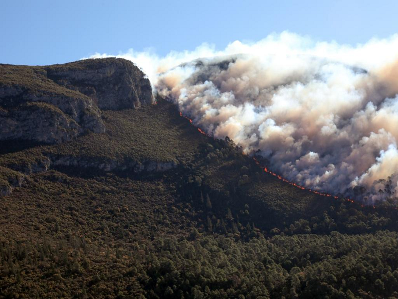 Van 3 mil 500 hectáreas afectadas por incendio en la Sierra de Arteaga