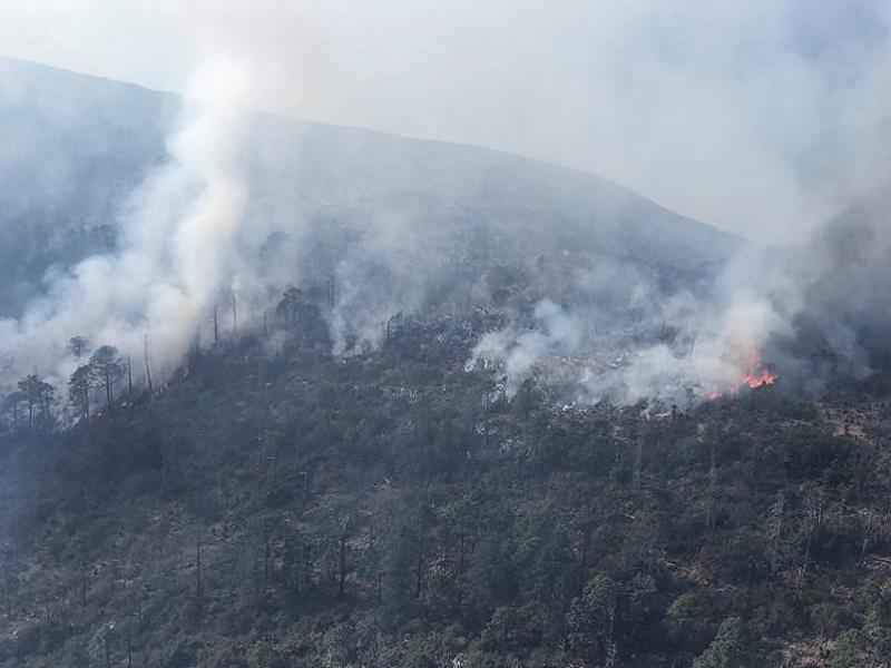 Viento sigue dificultando la labor de brigadistas en incendio forestal en Arteaga