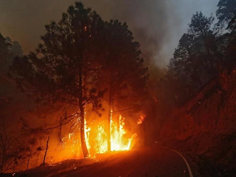 Hasta 10 años de prisión y multa por causar incendio en sierra de Arteaga; declaran Emergencia