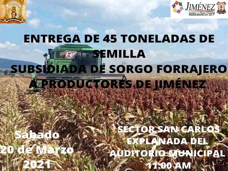 Entregará alcalde Raúl Pecina 45 toneladas de semilla de sorgo a productores en Jiménez