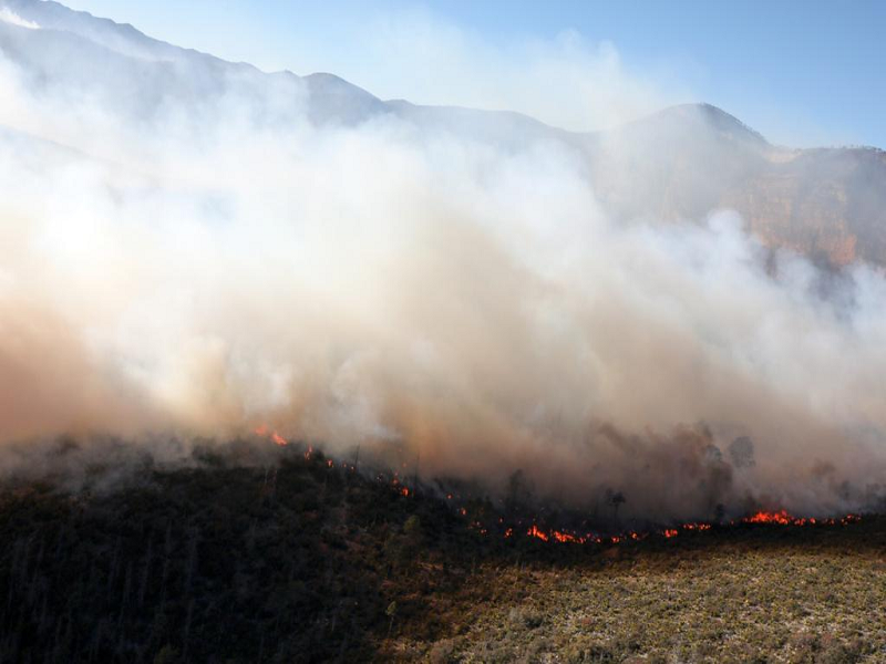 Beneficiarán condiciones climatológicas combate al incendio en la sierra de Arteaga