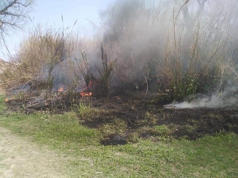 Detienen a presuntos responsables de incendiar lotes baldíos en Villa de Fuente