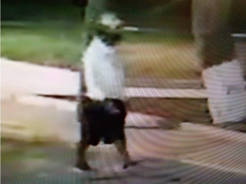 Identifican a menor que vandaliz&oacute; plaza p&uacute;blica reci&eacute;n remodelada en Piedras Negras (video)