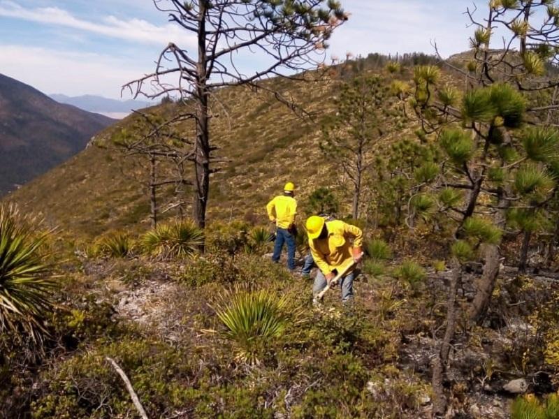 Reanuda Coahuila combate a incendio en La Pinalosa, sierra de Zapalinamé en vigilancia