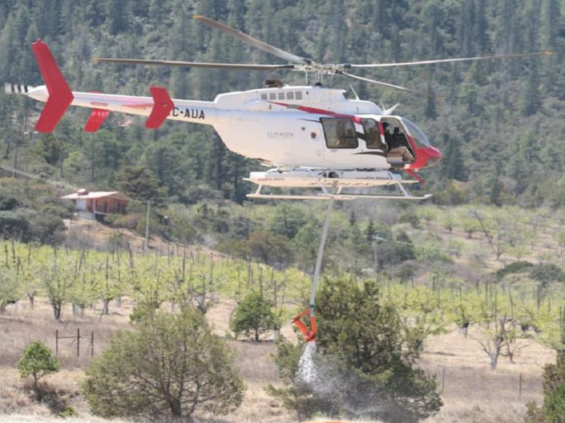 Registra 60% de avance control del incendio en La Pinalosa en la sierra de Arteaga