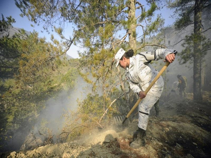 Protección Civil Coahuila emite recomendaciones para evitar incendios forestales en Semana Santa