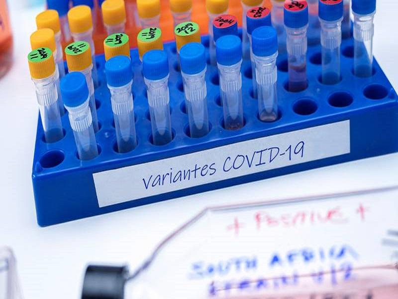 Detecta EUA variante doble mutante del coronavirus que se origin&oacute; en India 