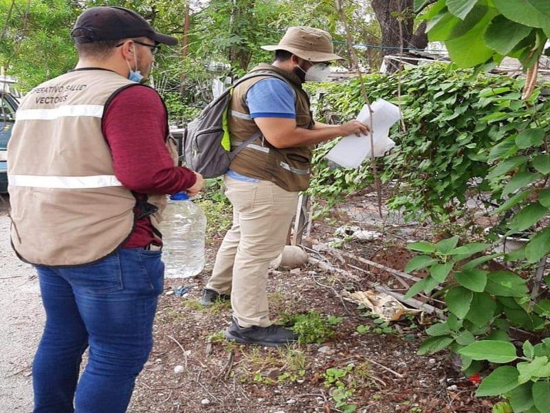 Revisa vectores las 800 ovitrampas instaladas en diferentes colonias de Piedras Negras