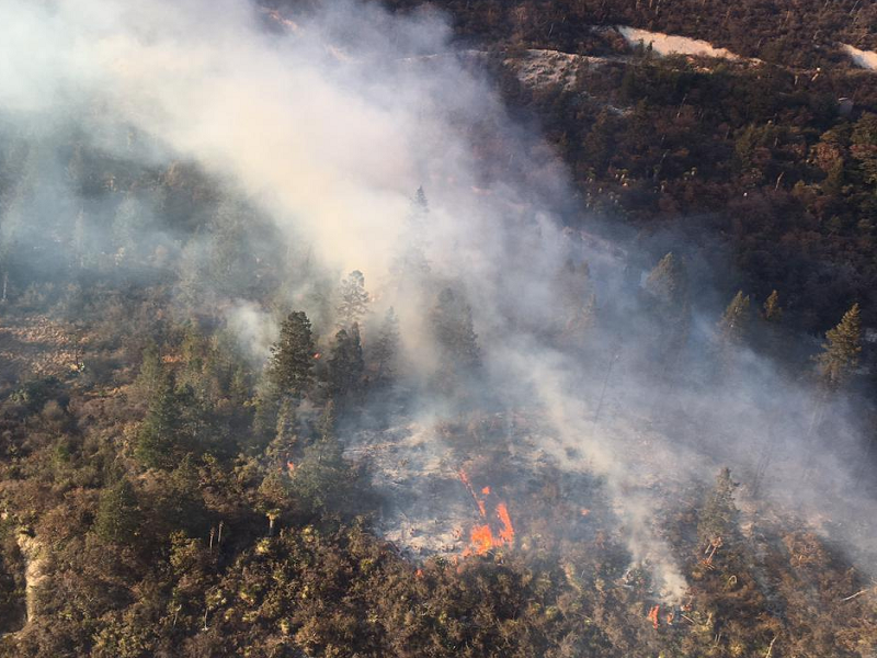 Controlado al 70% incendio forestal en Monterreal