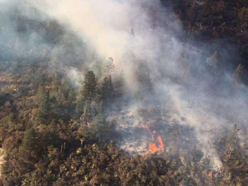 Avanza al 80% control de incendio en Monterreal, en Saltillo; se registra otro más en Carneros