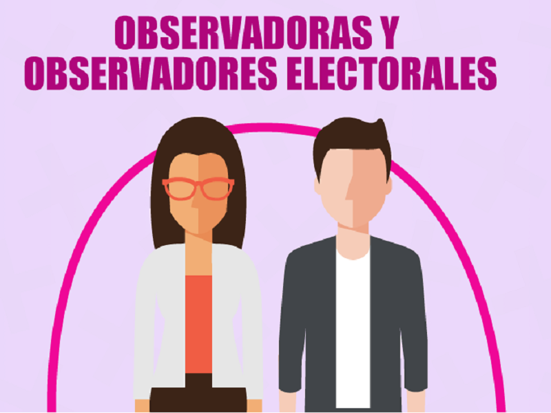 Busca el INE observadores electorales, personas que verifiquen una elección transparente
