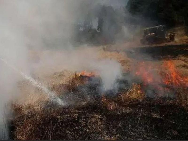 Se combate incendio en Carneros en Saltillo