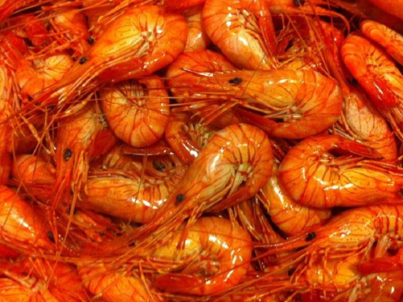 EU hace oficial embargo contra camar&oacute;n mexicano; ya no se puede exportar