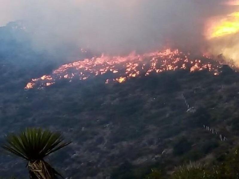 Controlado al 90 por ciento el incendio en Carneros en Saltillo