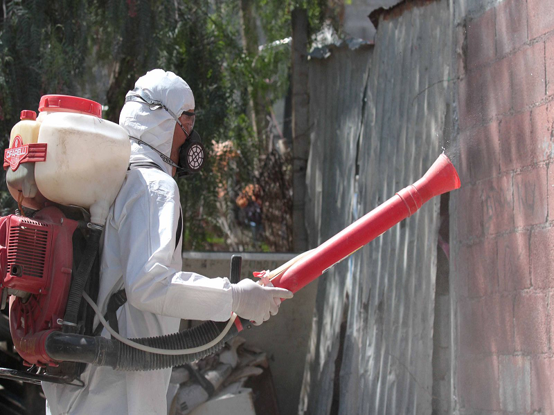 Llama Salud Coahuila a evitar brotes de Rickettsia